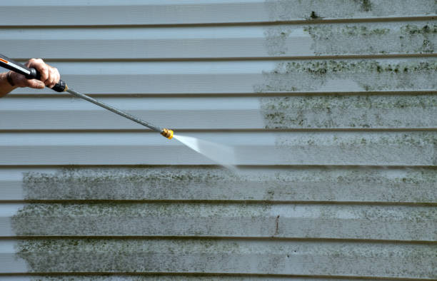 Best Spring Cleaning  in Wenonah, NJ